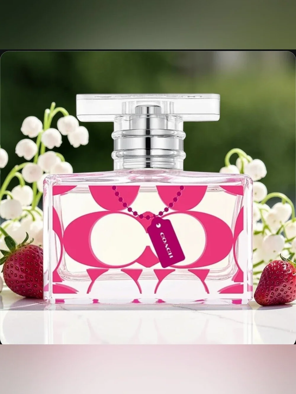 Coach Signature Blossom NIB (Sealed)